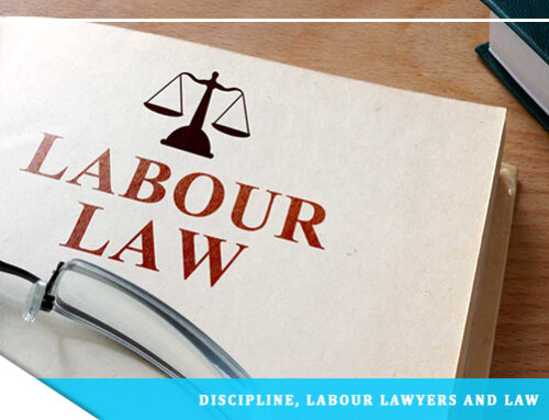 Discipline, Labour Lawyers and Law