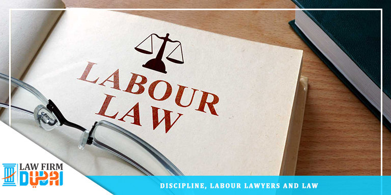 Discipline Labour Lawyers and Law